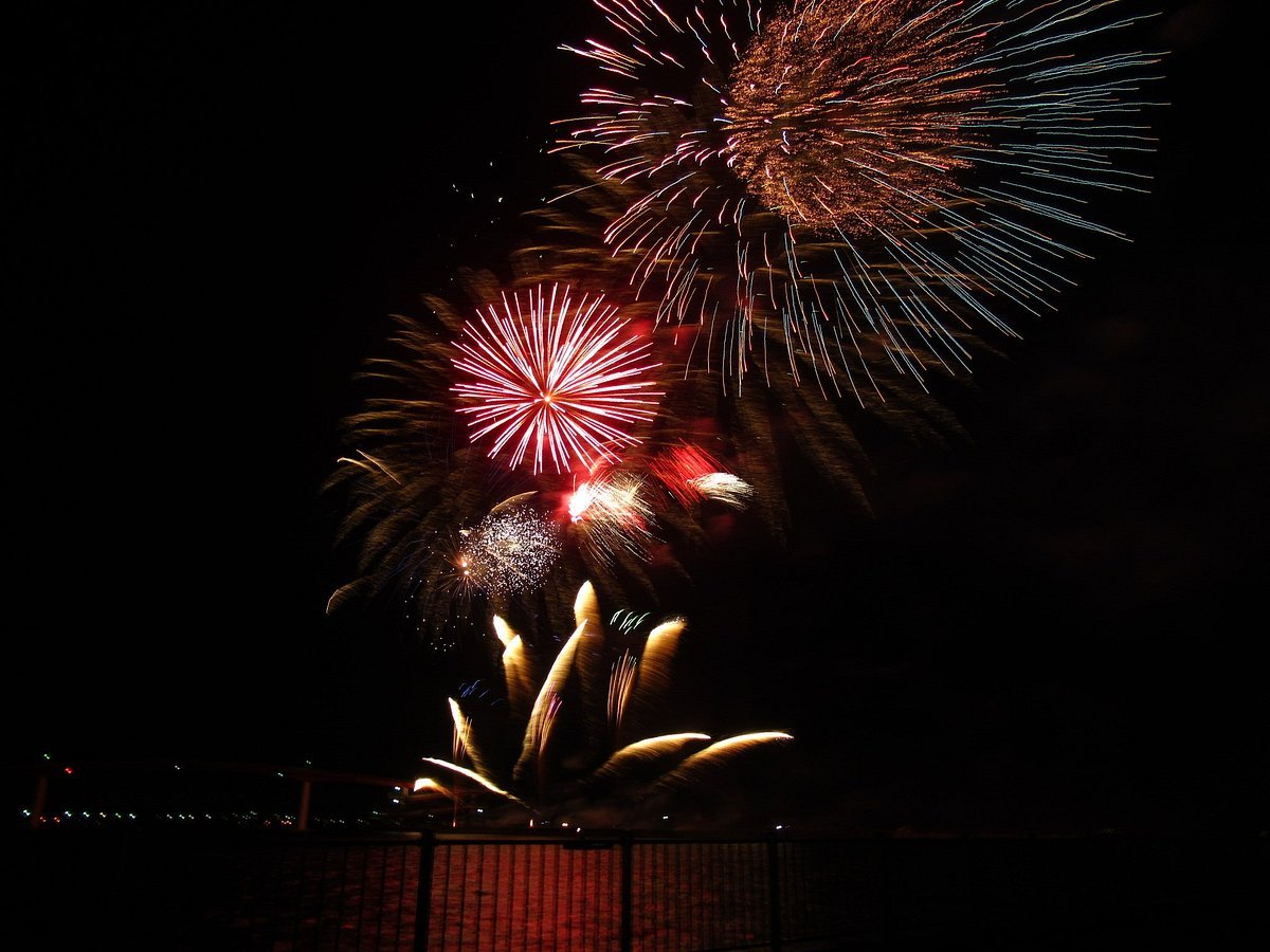 🏞️ 오타야마 공원 이미지 10